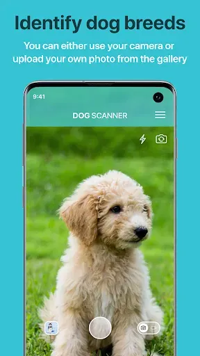 Скриншот 1 — Dog Scanner: Породы собак