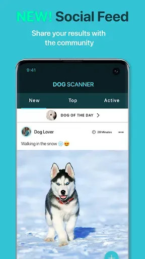 Скриншот 4 — Dog Scanner: Породы собак