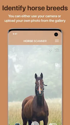 Скриншот 1 — Horse Scanner