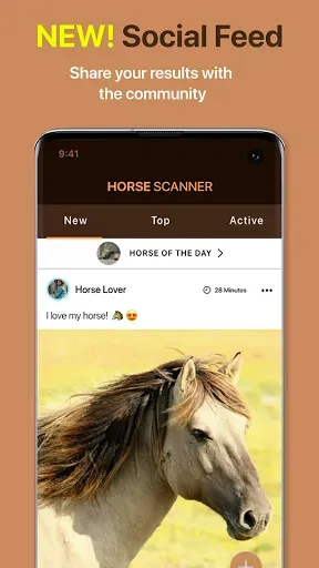 Скриншот 4 — Horse Scanner