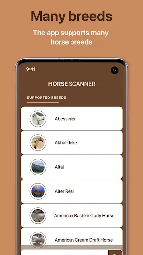 Скриншот 7 — Horse Scanner