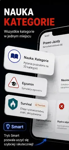 Скриншот 2 — Prawo Jazdy GO: Testy 2026