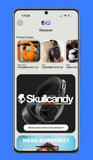 Скриншот 6 — Skull-iQ