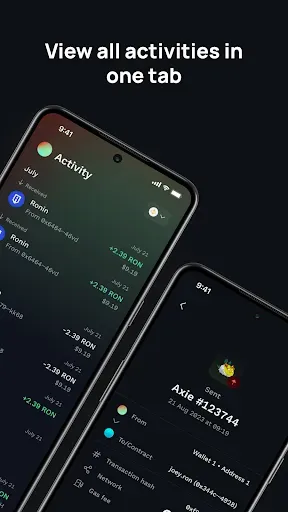 Скриншот 5 — Ronin Wallet