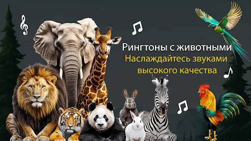 Скриншот 1 — Животные и птицы Ringtones
