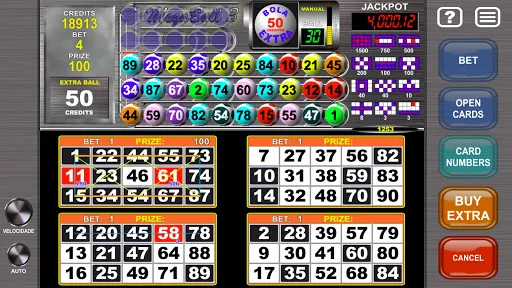 Скриншот 3 — Video Bingo Mega Ball Flex