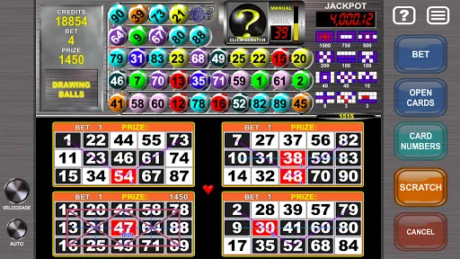 Скриншот 4 — Video Bingo Mega Ball Flex