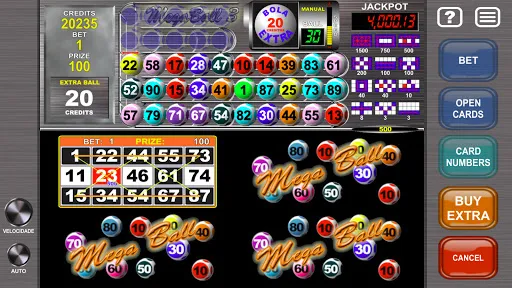 Скриншот 5 — Video Bingo Mega Ball Flex