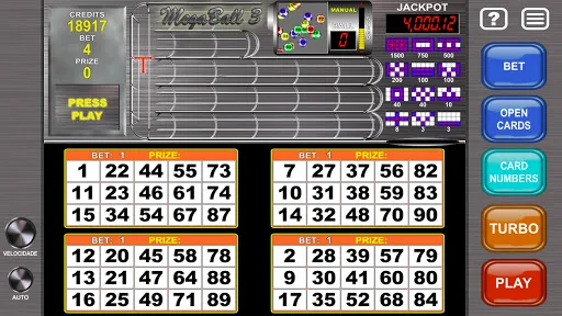 Скриншот 6 — Video Bingo Mega Ball Flex