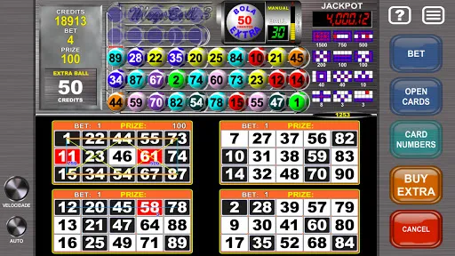 Скриншот 8 — Video Bingo Mega Ball Flex