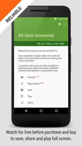 Скриншот 4 — MP4Fix Video Repair Tool
