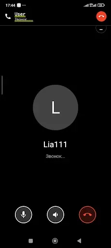 Скриншот 7 — 1001sms Анонимный чат и звонки