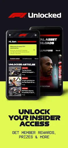 Скриншот 8 — Formula 1®