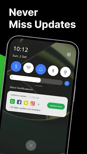 Скриншот 5 — Software Update