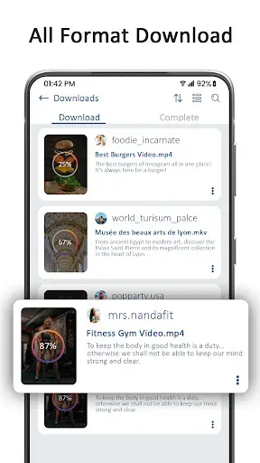 Скриншот 3 — Video Downloader - Story Saver