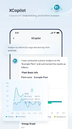 Скриншот 3 — SolaXCloud