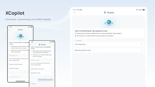 Скриншот 8 — SolaXCloud