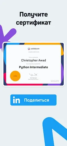 Скриншот 6 — Sololearn: Learn to code