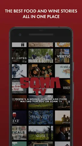 Скриншот 1 — SOMM TV