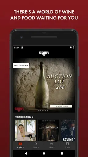 Скриншот 2 — SOMM TV