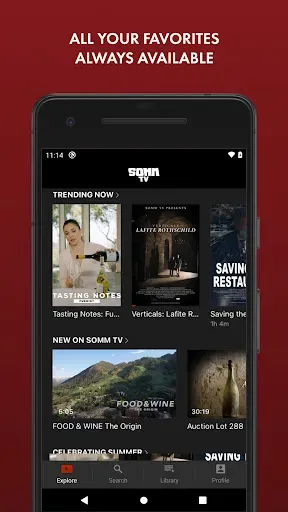 Скриншот 3 — SOMM TV