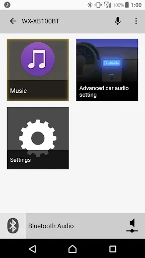 Скриншот 1 — Advanced car audio setting