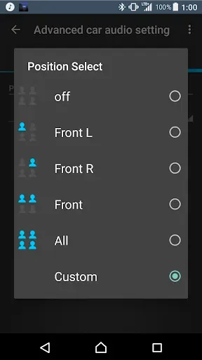 Скриншот 4 — Advanced car audio setting