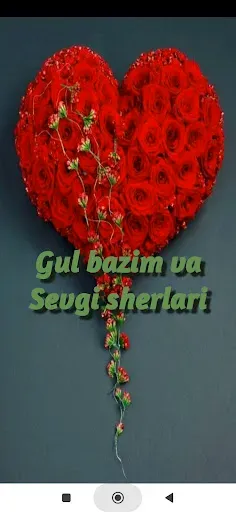 Скриншот 2 — Gul bazim va Sevgi sherlari