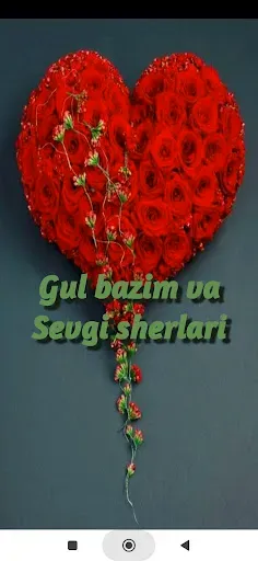 Скриншот 6 — Gul bazim va Sevgi sherlari