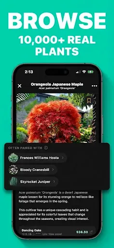 Скриншот 3 — Sow: Garden & Landscape Design