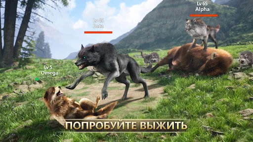 Скриншот 2 — Игра Волка