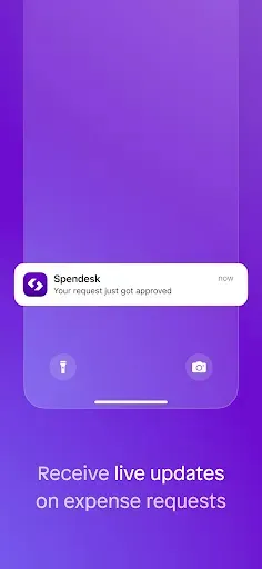 Скриншот 5 — Spendesk