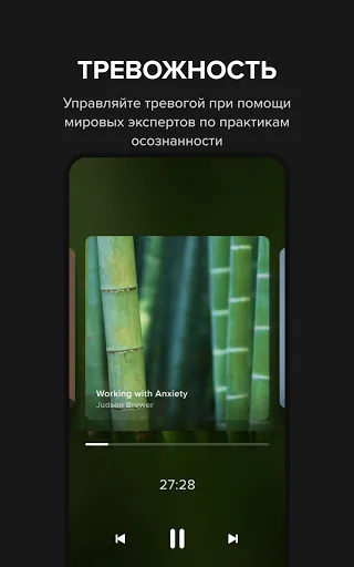 Скриншот 5 — Insight Timer - Медитация, Сон