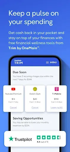 Скриншот 7 — OneMain Financial