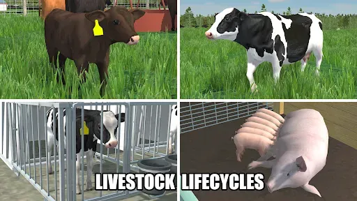 Скриншот 3 — American Farming