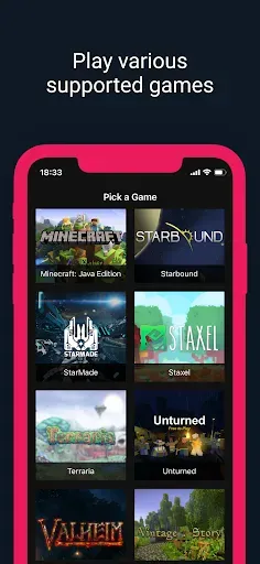 Скриншот 4 — Squadnox - Game Server Hosting