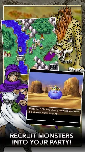 Скриншот 4 — DRAGON QUEST V