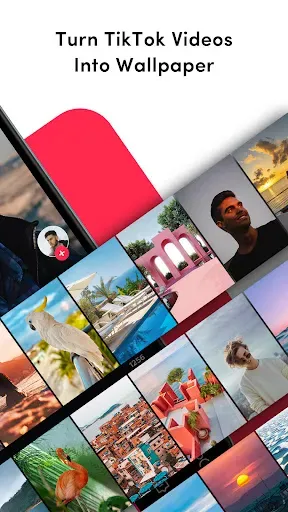 Скриншот 2 — TikTok Live Wallpaper