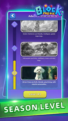 Скриншот 8 — Block Puzzle:Adventure Master