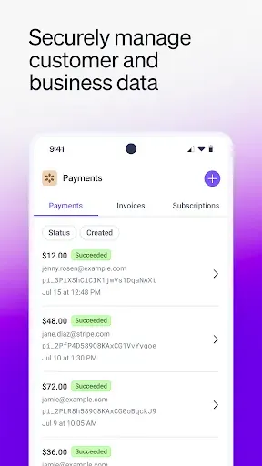 Скриншот 6 — Stripe Dashboard