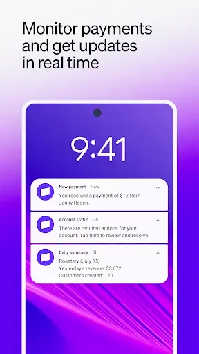 Скриншот 7 — Stripe Dashboard