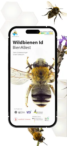 Скриншот 1 — Wildbienen Id BienABest