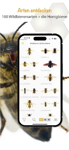 Скриншот 3 — Wildbienen Id BienABest
