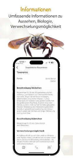 Скриншот 5 — Wildbienen Id BienABest