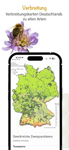 Скриншот 8 — Wildbienen Id BienABest