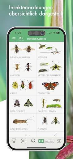 Скриншот 3 — BUND Insekten Kosmos
