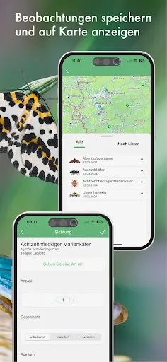 Скриншот 6 — BUND Insekten Kosmos