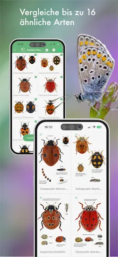 Скриншот 7 — BUND Insekten Kosmos
