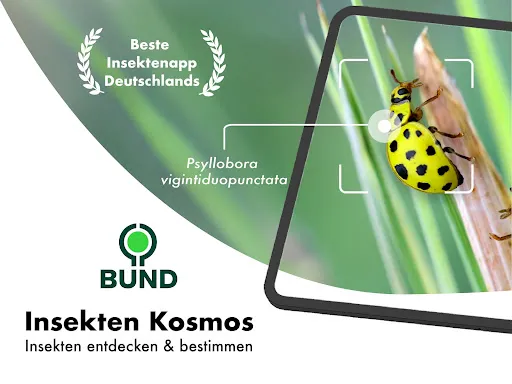 Скриншот 8 — BUND Insekten Kosmos