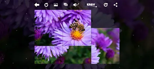 Скриншот 4 — XPicture LF